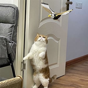 LAST DAY 49% OFF- Simulation Bird Interactive Cat Toy for Indoor Cats