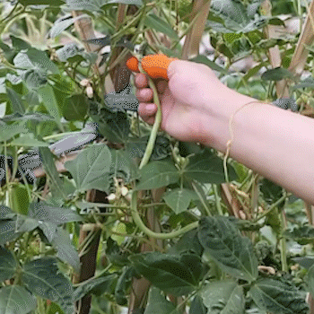 Gardening Thumb Knife