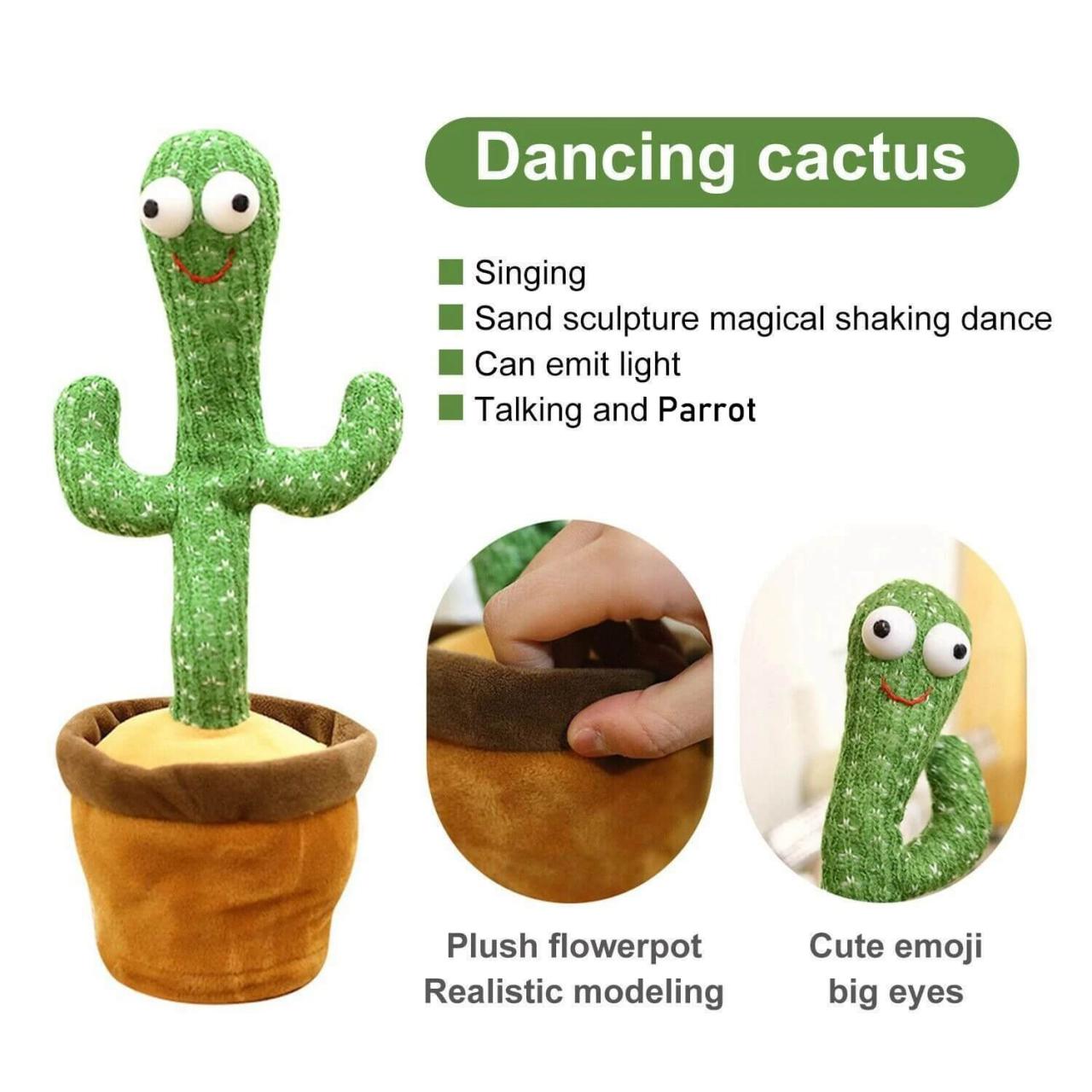 Parrot Cactus That Can Sing and Dance