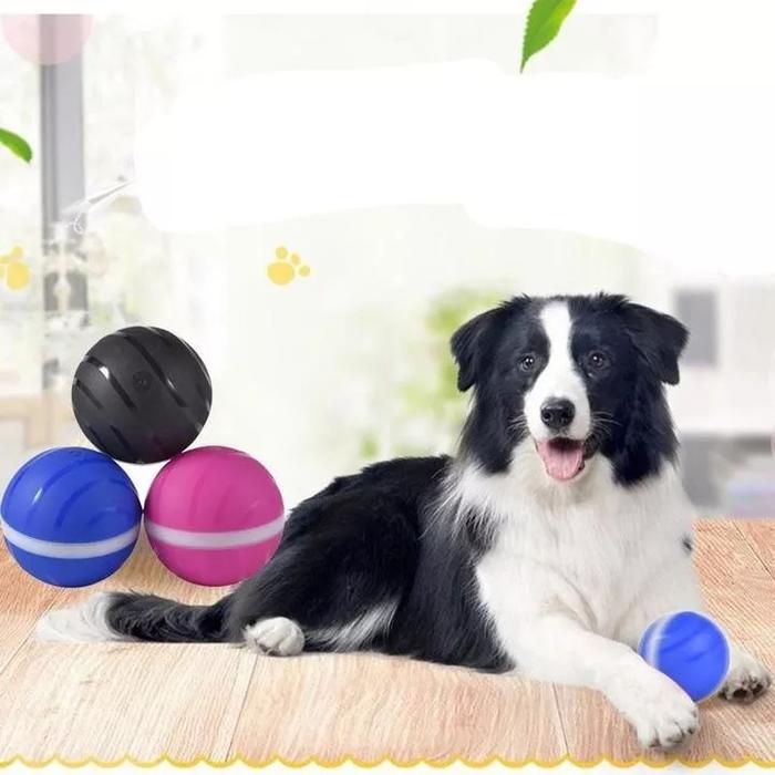 Peppy Pet Ball Interactive Pet Ball