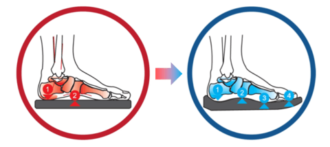 Natuma Sandals - Womens Orthotics Sandals
