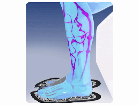 EMS Bioelectric Therapy Acupoint Massaging Body Shaping Mat(especially for varicose veins)