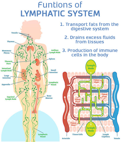 EMS Portable Lymphatic Relief Neck Massager