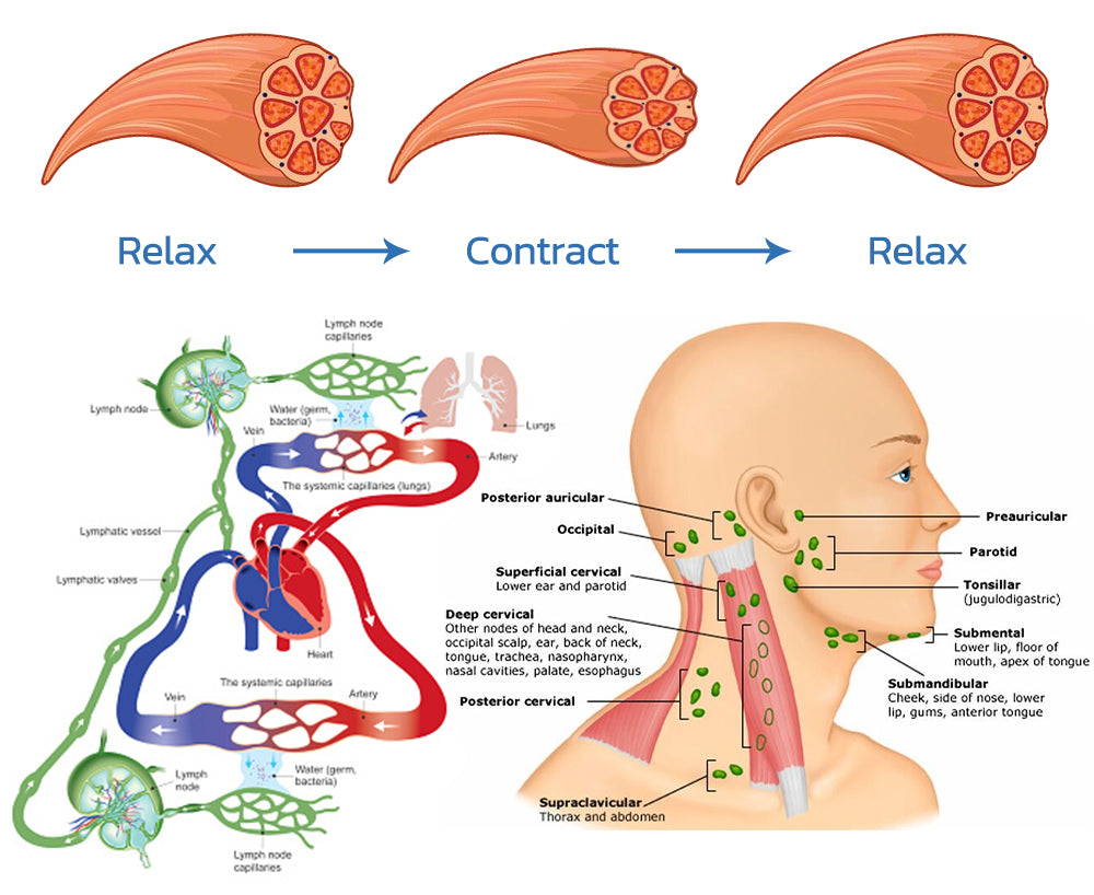 EMS Neck Acupoints Lymphvity Massager Device