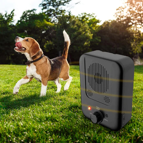 Bark Free Device For Dogs