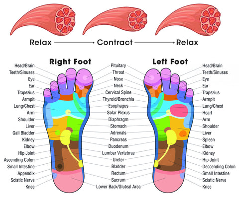 Bio-EMS Acupoint Massager Mat