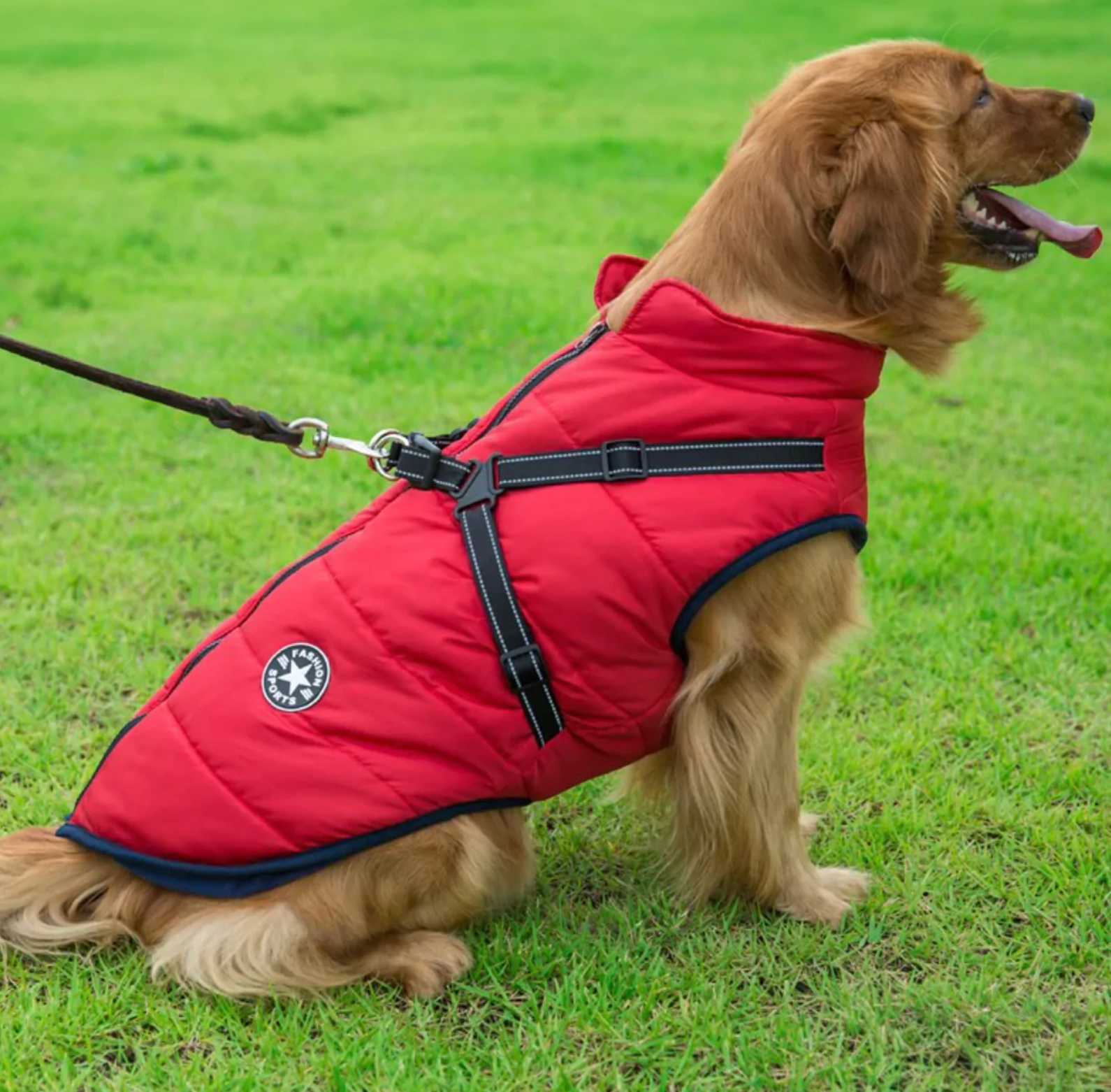 LuluPawz 3 in 1 Jacket