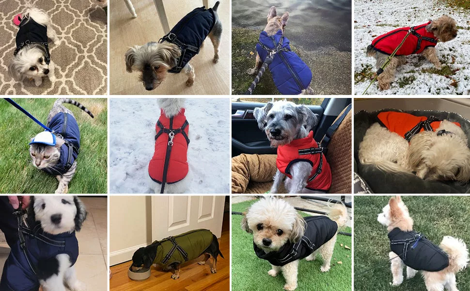 ( Black Friday Sale-40%OFF ) Pawbibi Sport™ - Waterproof Winter Jacket with Built-in Harness