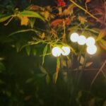 Solar Powered Firefly Light