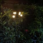 Solar Powered Firefly Light